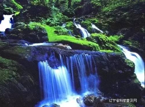 地铁：最后的曙光
